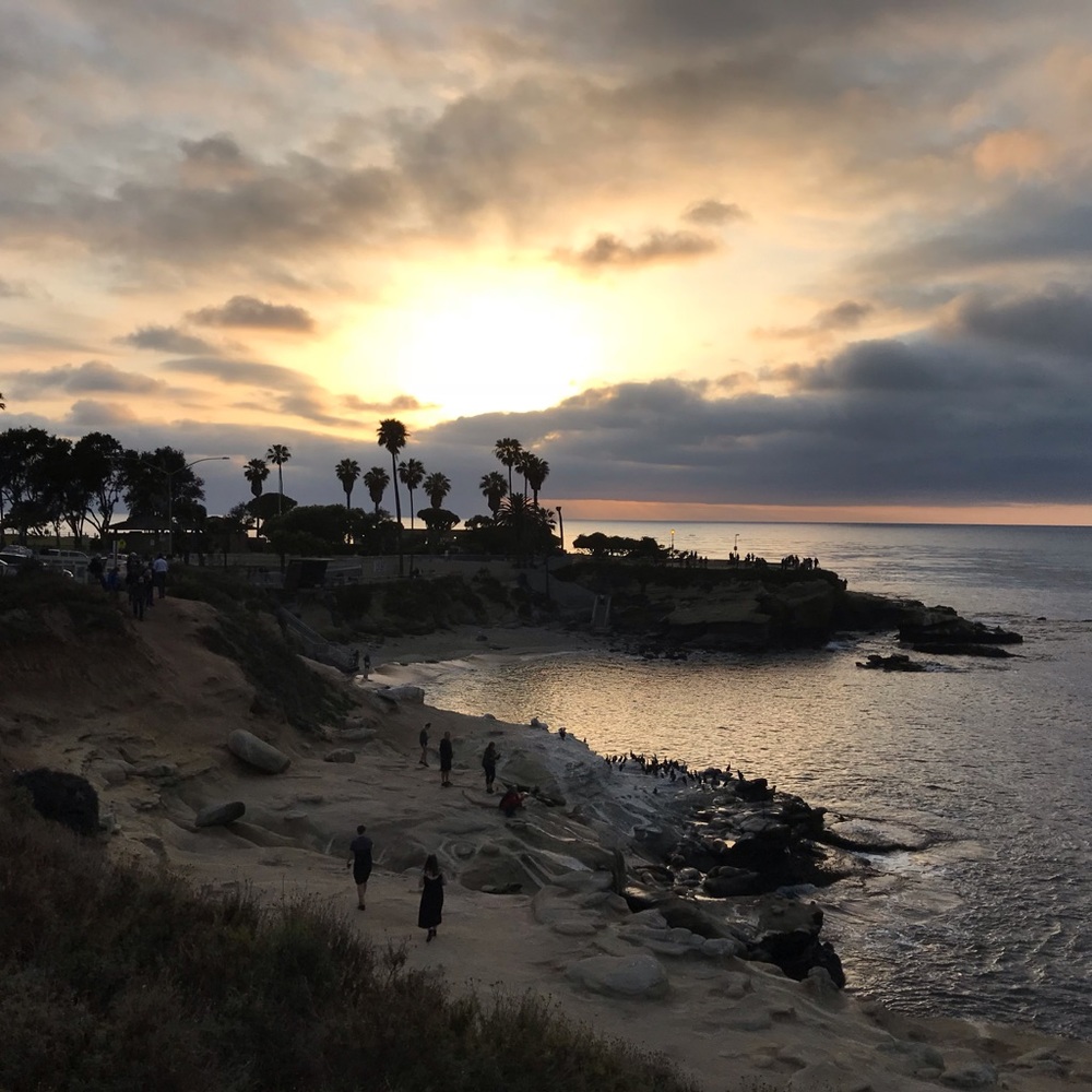 Meet your Posher, Zita